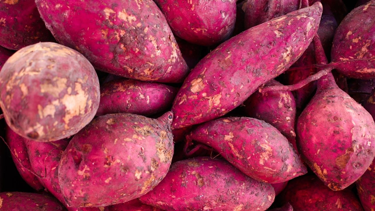 Tatlı Patates: İyi Karbonhidrat Kaynağı ve Sağlığa Sunulan Faydalar