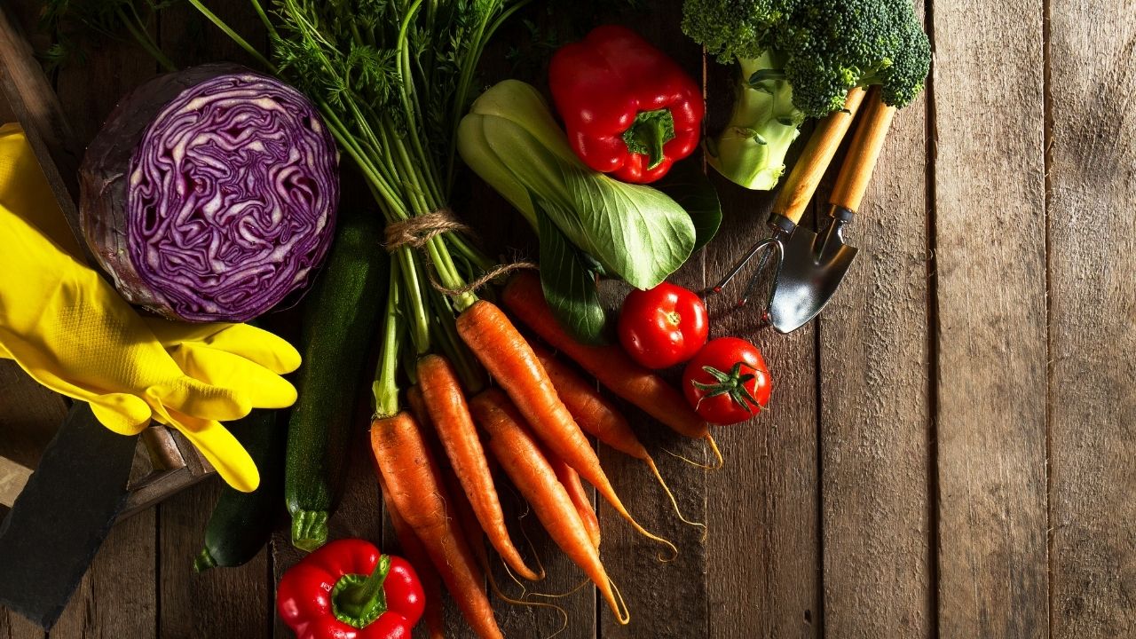 Sebzelerin Sağlığa Katkıları ve Beslenmedeki Önemi