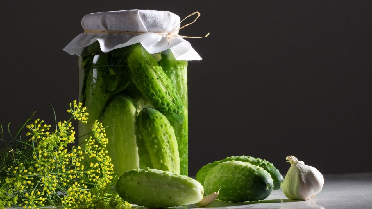 Salatalık: Hidrasyon ve Cilt Sağlığı İçin İdeal Bir Sebze