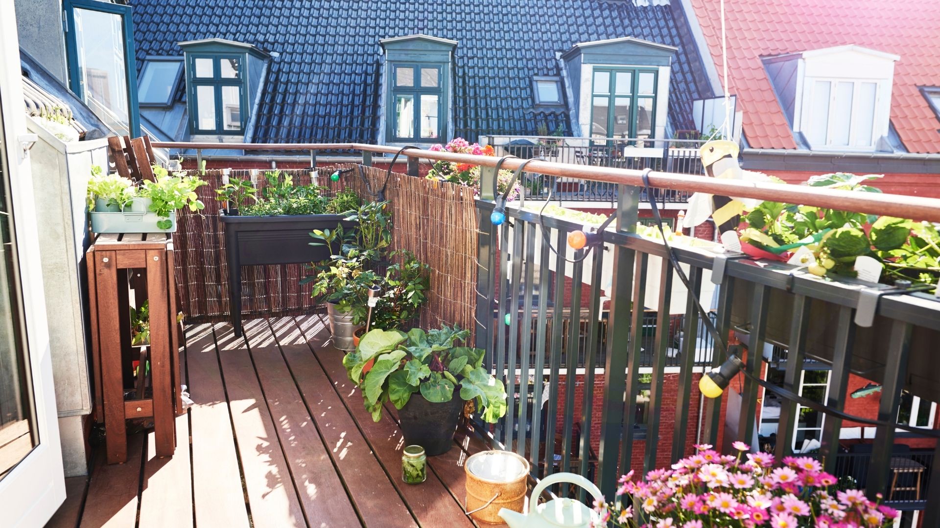 Balkonunuzu Bahçeye Dönüştürün: Küçük Alanlara Dekorasyon İpuçları