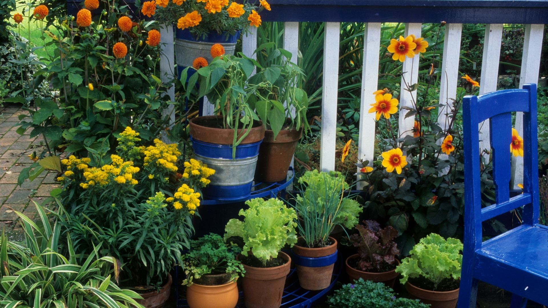 Balkonunuzu Bahçeye Dönüştürün: Küçük Alanlara Dekorasyon İpuçları